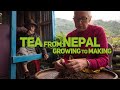 Nepal Tea travel 2018 (short documentary)