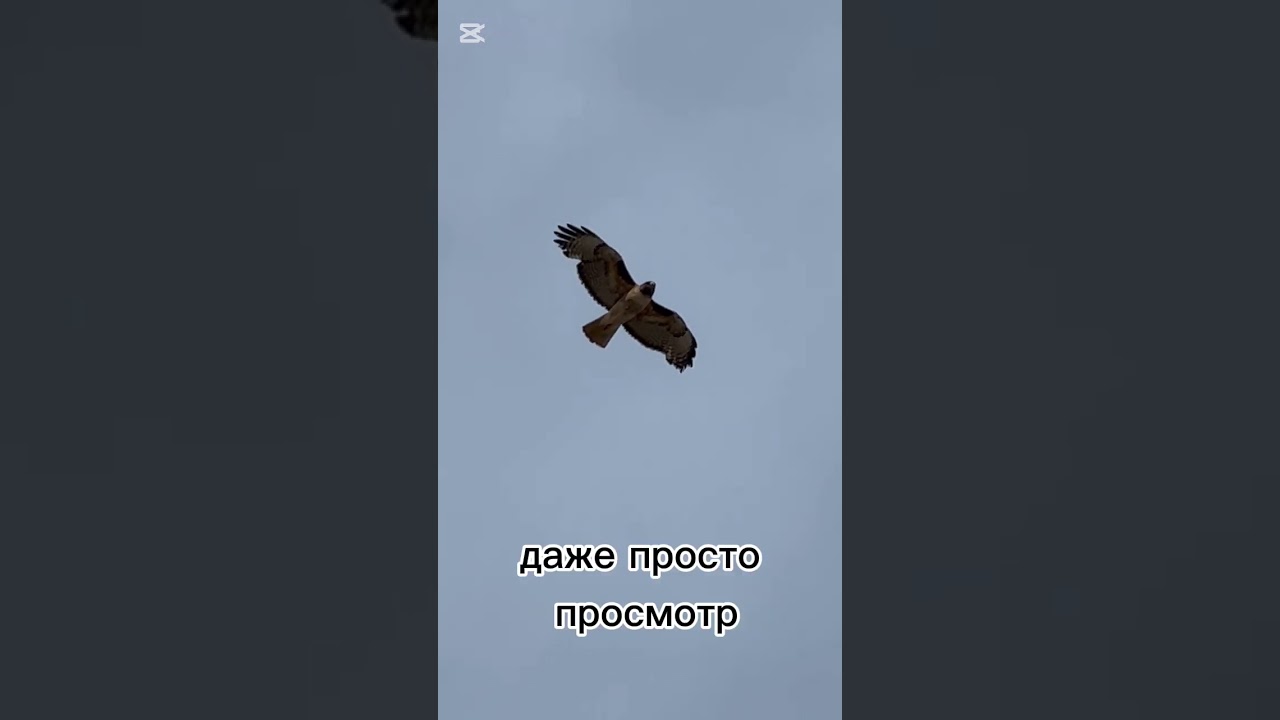 Интернет - БОЖЕСТВЕННОЕ ?