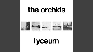 Video thumbnail of "The Orchids - The York Song"