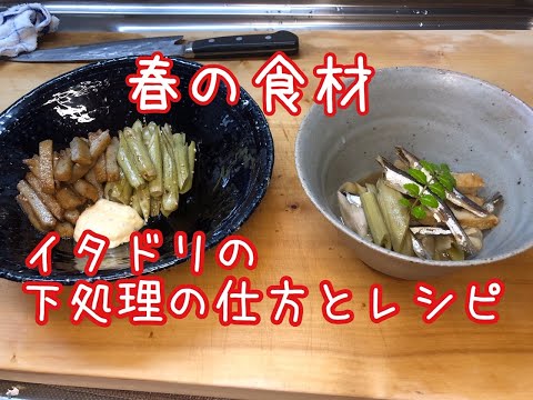 料理 春の山菜 いたどりの下処理の仕方とレシピ Nipponxanh 料理 春の山菜 いたどりの下処理の仕方とレシピ Nipponxanh