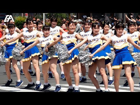 銀座柳まつり 2019 ゴールデンパレード vol.1 - Ginza Yanagi Festival Golden Parade -