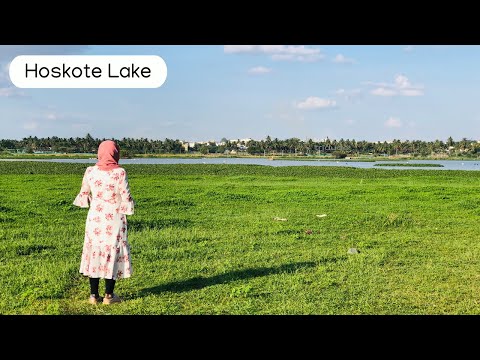 Hoskote Lake Bangalore ✨ A Natural Beauty ❤️ #bengaluru #karnataka