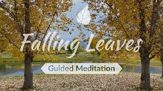 Falling Leaves Meditation by Embodyworks 160 views 3 years ago 8 minutes, 16 seconds