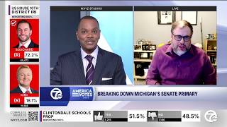 Professor breaks down Michigan's Democratic Senate primary