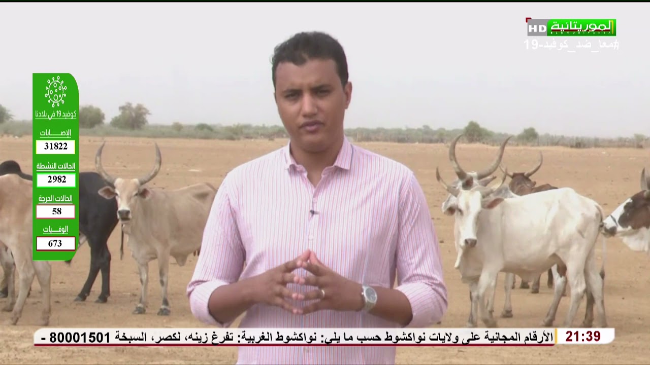 تحقيقات روصو: تجميع الألبان