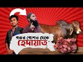 গরুর মাং-শ দেখলেই ব-মি আসত আমার 🤮 কিন্তু এখন ❓ Muhammad Al Amin