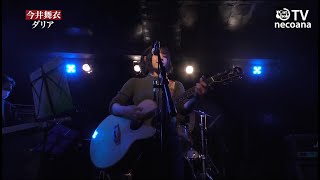 今井舞衣 猫の爪研ぎ 序幕 新宿 Cat S Hole Re Shinjuku