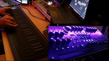 How to use ASM Hydrasynth as a sound generator for a full-featured MPE controller like Roli Seaboard