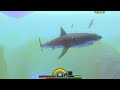 Feed  grow  fish new great white shark vs megalodon