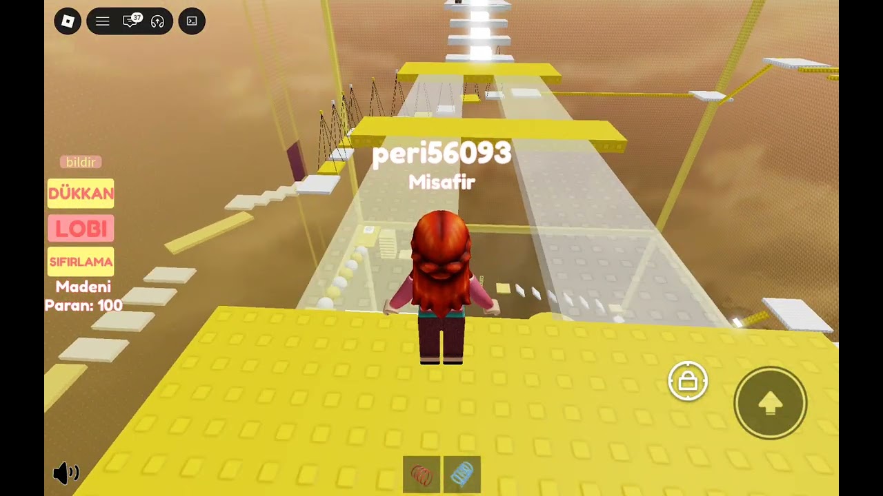 Kuleye obby çıktım