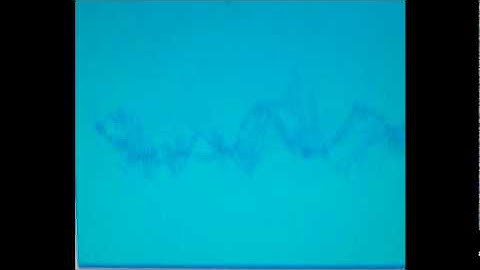 skanfrom -kaanal.flv