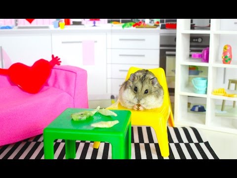 ДОМ ХОМЯКА РУМ ТУР ИГРОВАЯ КОМНАТА - ХОМЯК И ЕГО ДОМИК | Elli Di Pets ДОМ ХОМЯКА РУМ ТУР ИГРОВАЯ КОМНАТА - ХОМЯК И ЕГО ДОМИК | Elli Di Pets