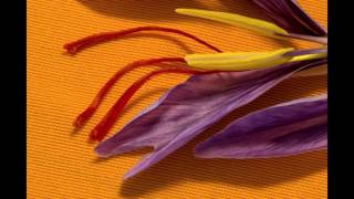 Zafferano Sul Balcone