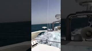 Oceane El Himer - 27 Mai 2022