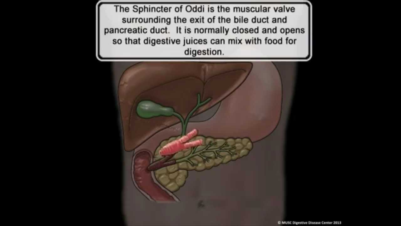 10 Symptoms of sphincter of Oddi dysfunction You Should Never Ignore