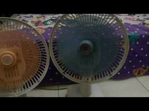 My fan collection