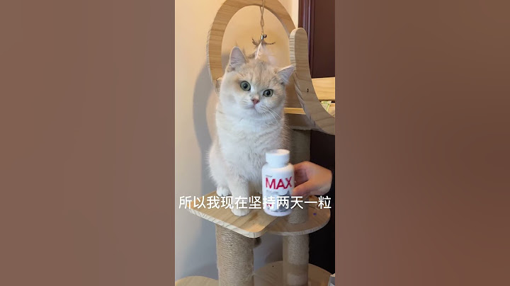 掉毛季坚持给猫咪吃鱼油的好处！家里不再是蒲公英满天飞了！萌宠好物#宠物鱼油#猫毛解决方案