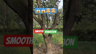 🤯🤯 😱 Smooth Transition !!!