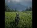 My Horse and I Wild West 🐎🌿 #rdr2