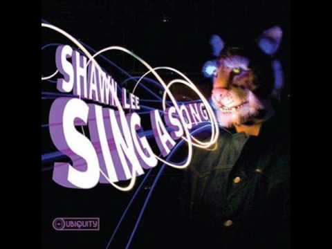 Shawn Lee ft. Princess Superstar - Christopher Wal...