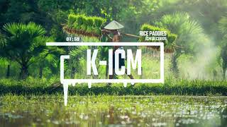 K-ICM - Tropical House 2021 - Tropical House Việt Nam - Đồng Lúa (Rice Paddies)
