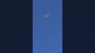 Private Plane Near At Sasa 12