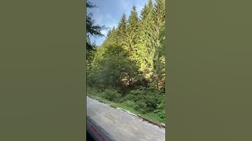 #القرآن_الكريم #آية_الكرسي #سورة_البقرة