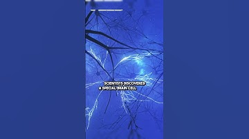 Your Brain FORGETS on Purpose 🧠 #Memory #Science #subscribe #shorts