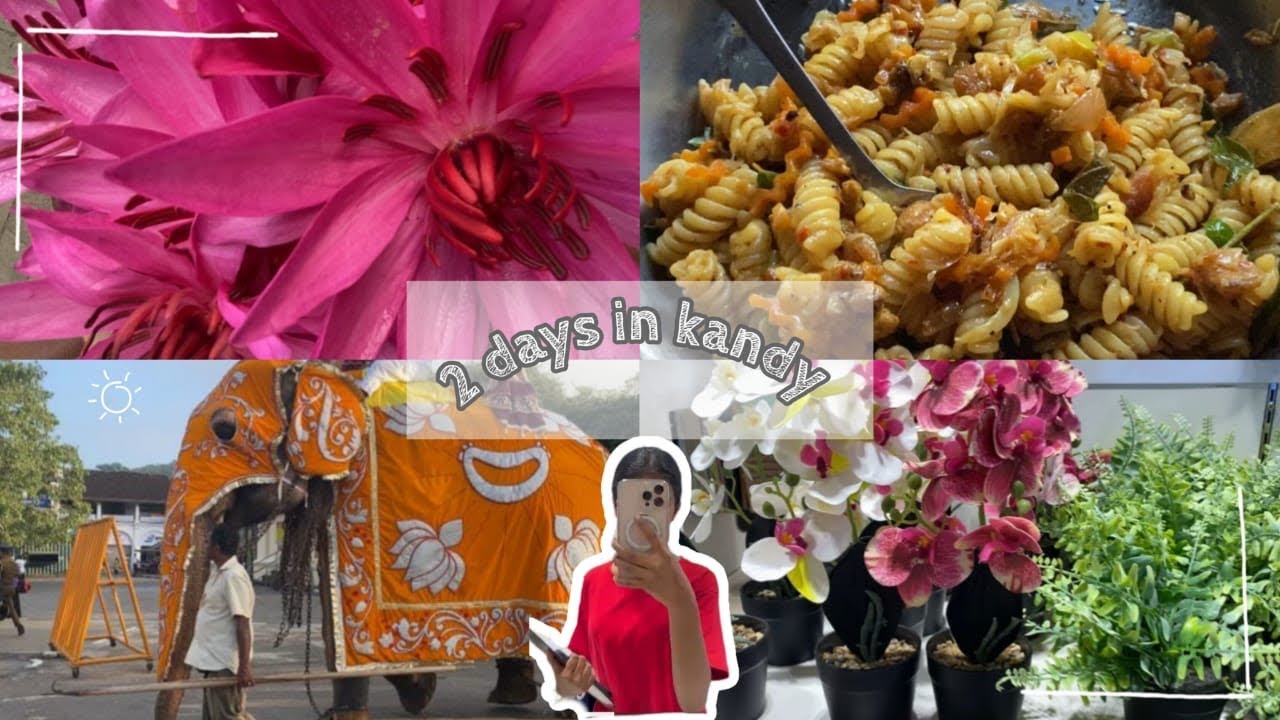 වර්ෂ අවසාන පෙරහැර | Christmas offers ❄️💕✨ 