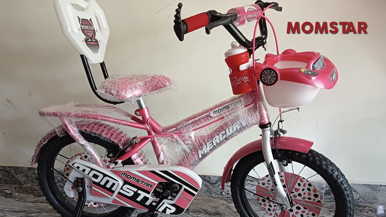 momstar cycle 24 price