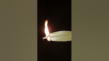 Burn a bay leaf and watch what happen/#shorts