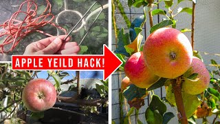 How to Increase Apple Tree Production by Gardenerd 1,576 views 3 months ago 4 minutes, 1 second