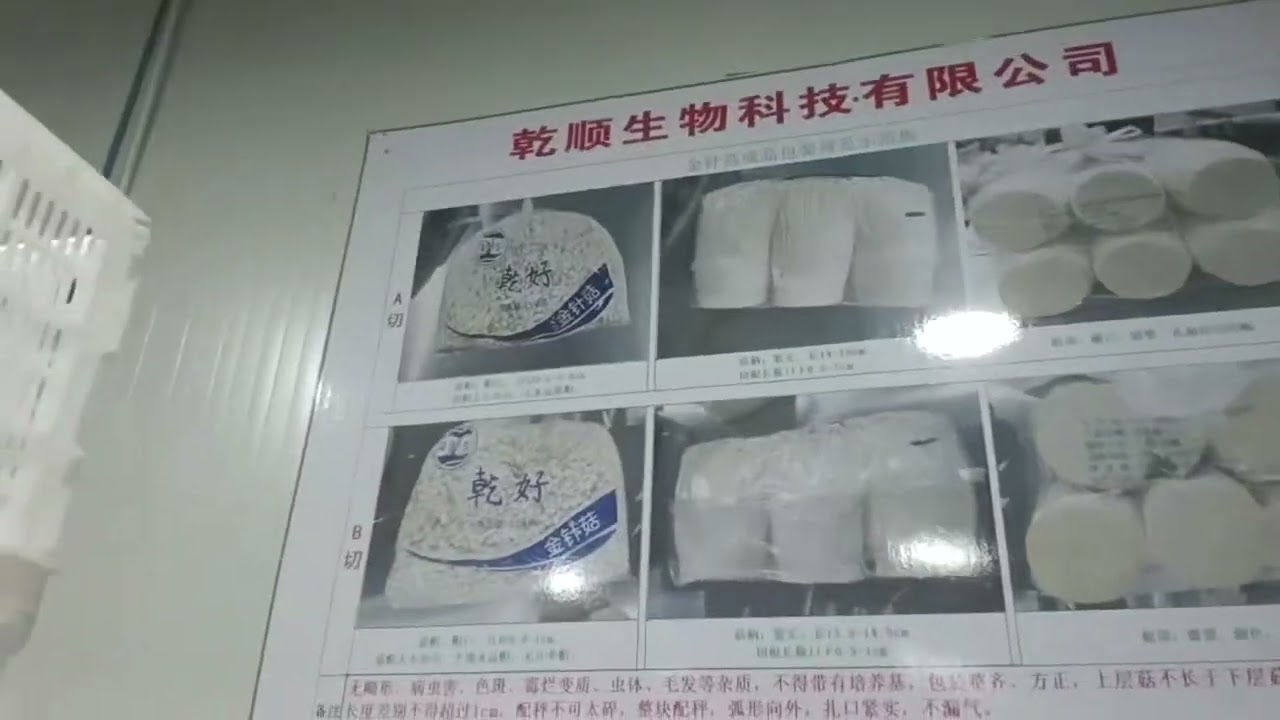 Inside Enoki Mushroom Packaging Line | How Fresh Enoki is Packed for Market