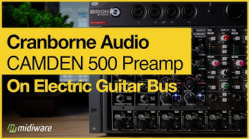 Cranborne Audio Camden 500 on Electric Guitar Bus |Sound Demo| @cranborneaudio @MidiWareVideo