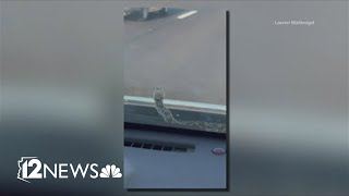 A Cave Creek woman got a surprised while out drive – a snake on her windshield