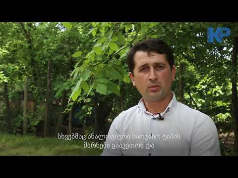 გიგა კუბლაშვილი