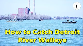 How to Catch Detroit River Walleye