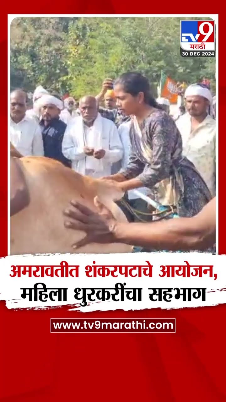 Amravati | अमरावतीमध्ये शंकरपटाचे आयोजन, महिला धुरकरींचा सहभाग