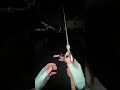 Fishing Until the Sun Goes Down – What a Day!