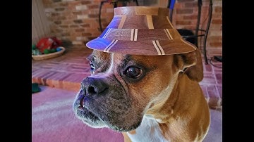 120 segment bowl (walnut, curly maple and purple heart)