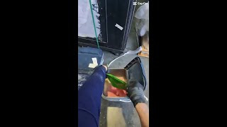 Iowa Corn Planting Season