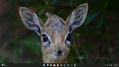 Tugas Membuat Surat Undangan Dengan Mail Merge