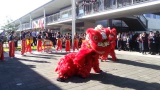 BDSC Lion Dance Team : Cultural Week (June 23, 2014)