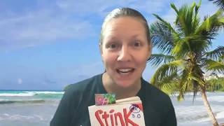 Stink Chapter 3 Read Aloud by Mrs. Bowden