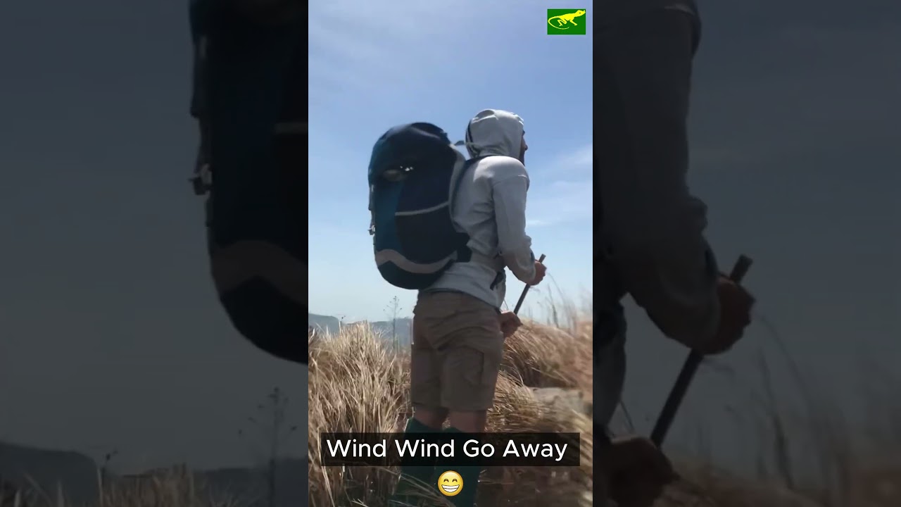 Trekking With Wind In Knuckles Range