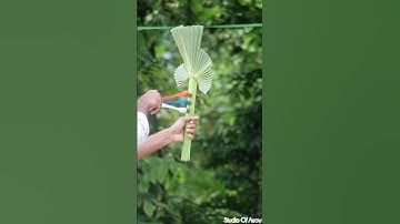 Bamboo and palm tree creations with balloon slingshots #balloon #handmade #viralvideo #shortvideo