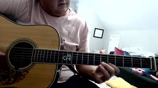 Jerusalem Ridge Flatpick Guitar
