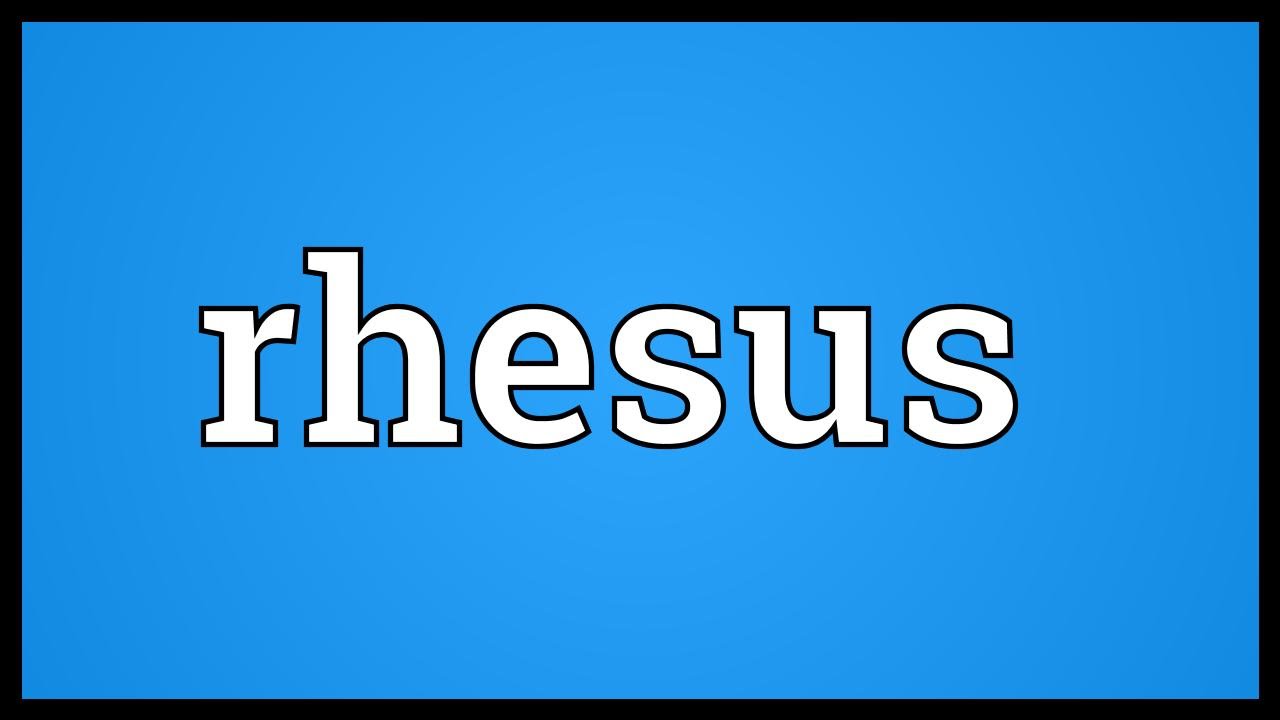Rhesus Meaning YouTube