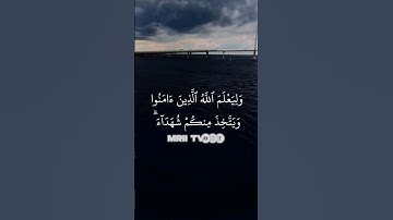 ماهر المعيقلي - سورة آل عمران ( برواية حفص عن عاصم ) الأية 140