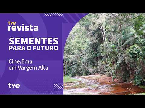 Conversation, forest bathing, forest food and more